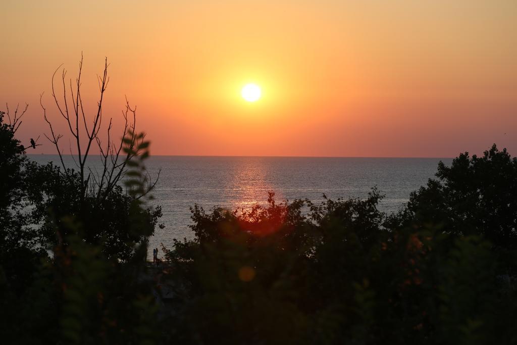 Evergreen Vlas Mamaia Sud Kültér fotó